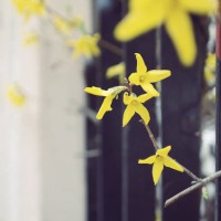 mar 31, 2015. - garden decoration stock pictures, royalty-free photos & images