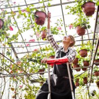mature florist climbing on a ladder in greenhouse reaching potted plant - garden decoration stock pictures, royalty-free photos & images