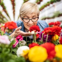 mature woman smelling flowers - garden decoration stock pictures, royalty-free photos & images
