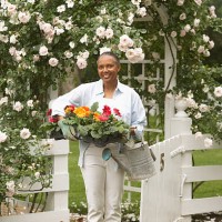 mature woman standing beneath archway in garden, smiling, portrait - garden decoration stock pictures, royalty-free photos & images