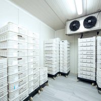 meat storage at -30 celcius - food stock pictures, royalty-free photos & images