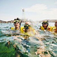 medium shot of smiling family on snorkeling tour in tropical ocean - travel stock pictures, royalty-free photos & images