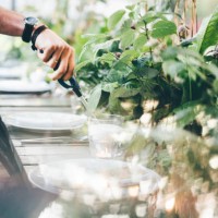 men ignite fire to decorative candles in stylish glass holders with thin wooden sticks at rustic table with elegant setting in garden closeup. - garden decoration stock pictures, royalty-free photos & images