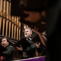 men singers in church choir during performance at concert - concert stock pictures, royalty-free photos & images