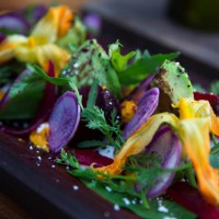 mexican gourmet salad with avocado and beetroot - food stock pictures, royalty-free photos & images
