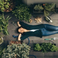 mi jardín en la azotea - home decoration fotografías e imágenes de stock