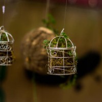 micro garden - garden decoration stock pictures, royalty-free photos & images