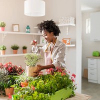 mini green paradise in my home - garden decoration stock pictures, royalty-free photos & images