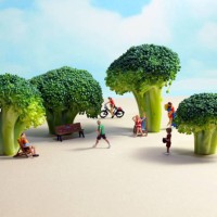 miniature park with broccoli trees - food stock pictures, royalty-free photos & images