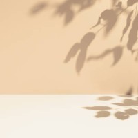 minimal empty cream and beige room background. modern studio showcase, product display, 3d stage, front view of table with natural tree leaves shadows. - fashion stock pictures, royalty-free photos & images