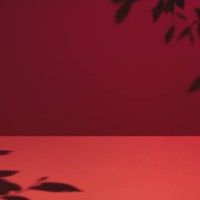 minimal empty dark red monochrome colored room background. modern studio showcase, product display, 3d stage, pink table with natural tree leaves shadows. - fashion stock pictures, royalty-free photos & images