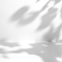 minimal empty gray and white 3d room exhibition background with natural plants shadows - home decoration stock pictures, royalty-free photos & images