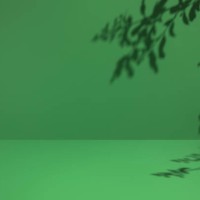 minimal empty monochrome green room background. modern studio showcase, product display, 3d stage, front view of table with natural tree leaves shadows. - garden decoration photos et images de collection