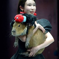 Model holding a capybara walks the runway during 2025 Petjoy Fashion Week at Shanghai Fashion Center on March 28, 2025 in Shanghai, China. The 2025...