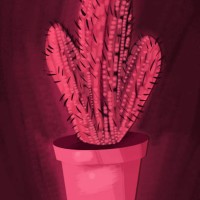 modern cactus - garden decoration stock illustrations