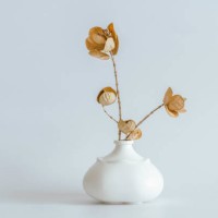 modern interior decoration, dried flowers and stylish ceramic vases - home decoration stock pictures, royalty-free photos & images