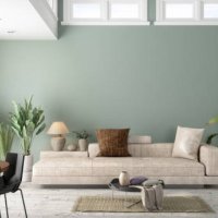 modern living room interior with green plants, sofa and green wall background - home decoration stock pictures, royalty-free photos & images