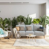 modern living room interior with potted plants behind the gray colored sofa and armchair. - home decoration stock pictures, royalty-free photos & images