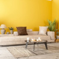 modern living room interior with sofa, potted plants and yellow color wall - home decoration stock pictures, royalty-free photos & images