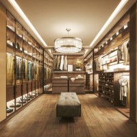 modern luxurious walk-in closet interior - fashion stock pictures, royalty-free photos & images