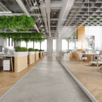modern open plan office space with tables, office chairs, creeper plants and manager room - home decoration stock pictures, royalty-free photos & images