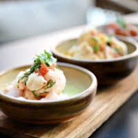 modern plated ceviche - food fotografías e imágenes de stock