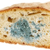 mold on bread - food stock pictures, royalty-free photos & images