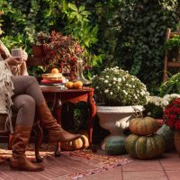 moments of enjoyment in your garden - garden decoration stock pictures, royalty-free photos & images