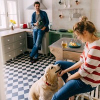 morning in the kitchen with our dog - food stock pictures, royalty-free photos & images