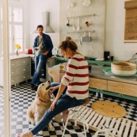 morning in the kitchen with our dog - home decoration stock pictures, royalty-free photos & images