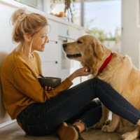 morning with my dog in our kitchen - food stock pictures, royalty-free photos & images