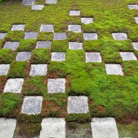 Moss and stone garden in a temple in Kyoto, Japan.