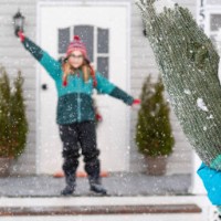 mother carries a christmas tree in the house - garden decoration stock pictures, royalty-free photos & images