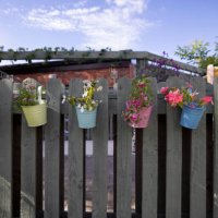 multi-coloured, decorative, metal plant pots containing flowering plants, hanging from a wooden fence in a back yard on a sunny day in summertime. - garden decoration stock pictures, royalty-free photos & images