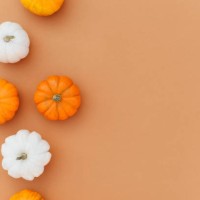 multicolored mini pumpkins on an orange background. autumn composition. autumn background. holiday halloween. - garden decoration stock pictures, royalty-free photos & images