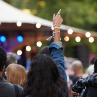 multiracial couple with arms raised enjoying concert - concert stock pictures, royalty-free photos & images