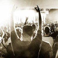music concert and crowd - concert stock pictures, royalty-free photos & images