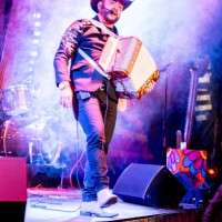 musician man playing accordion while sing in a music concert - concert stock pictures, royalty-free photos & images