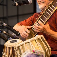 musician performing indian music - concert stock pictures, royalty-free photos & images