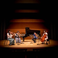 musician playing instruments at classical concert - concert stock pictures, royalty-free photos & images