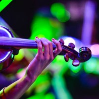 musician playing violin - concert stock pictures, royalty-free photos & images