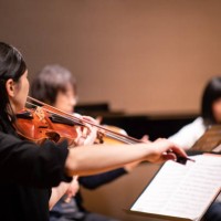 musician playing violin at classical concert - concert stock pictures, royalty-free photos & images
