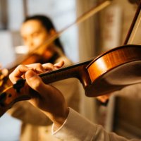 musicians playing a violin - concert stock pictures, royalty-free photos & images