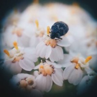 my garden - garden decoration stock pictures, royalty-free photos & images