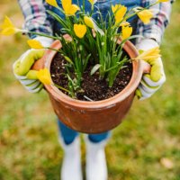 my garden is my heaven - garden decoration stock pictures, royalty-free photos & images