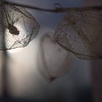 narva-jõesuu,estonia - garden decoration stock pictures, royalty-free photos & images