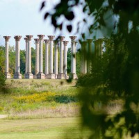 national capitol columns at the united states national arboretum, washington, d.c. (usa) - garden decoration stock pictures, royalty-free photos & images