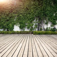 natural green wall made of leaves - garden decoration stock pictures, royalty-free photos & images