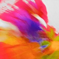 nature, abstract vibrant,bold coloured pantones - fashion stock pictures, royalty-free photos & images