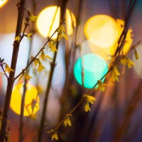 nature and the city - garden decoration stock pictures, royalty-free photos & images